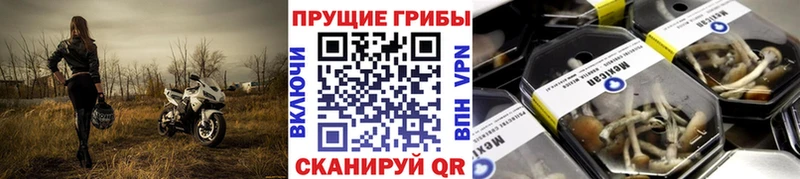 Галлюциногенные грибы мухоморы  Темрюк 